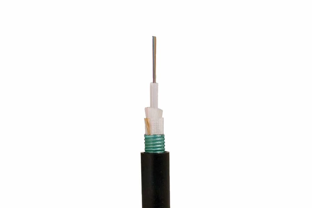 FCOFYX-SM2S2ACS006F