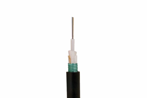 FCOFYX-SM2S2ACS024F