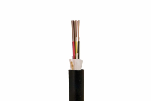 FCSPARX-M41L1DNS048F